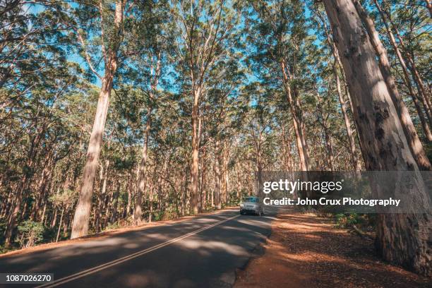 margaret river road - margaret river australia photos et images de collection