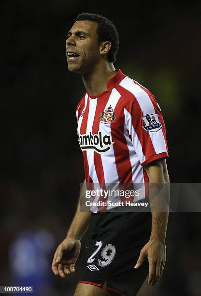 Anton Ferdinand of Sunderland reacts during the Barclays Premier League match between Sunderland and Chelsea at the Stadium of Light on February 1,...