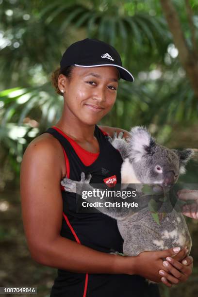 Naomi Osaka poses with Sprocket the Koala ahead of the 2019 Brisbane International at Lone Pine Koala Sanctuary on December 27, 2018 in Brisbane,...