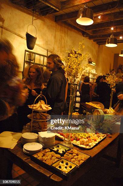 Atmosphere during Sheryl Crow "Wildflower" Release Party Co-Hosted by AOL at Private Residence in New York City, New York, United States.