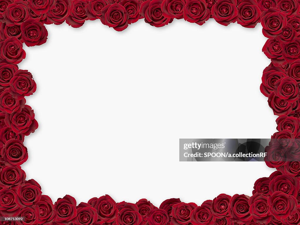Frame of roses