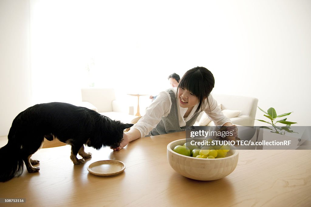 Young woman feeding a dog on dining table