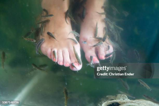 feet-fish-spa in varberg, sweden - varberg stock pictures, royalty-free photos & images