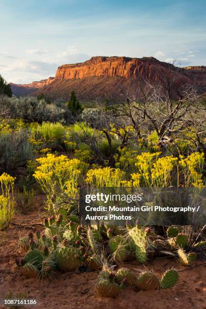 sunset on comb ridge in the spring, utah, usa - bears ears national monument stock pictures, royalty-free photos & images