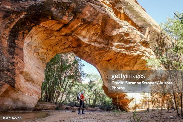 natural bridge in grandstaircase-escalantenational monument, utah, usa - grand staircase escalante national monument stock-fotos und bilder