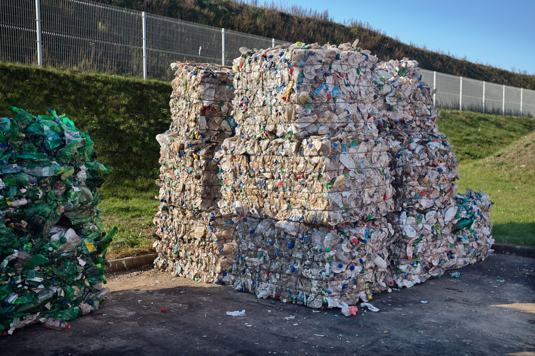 pet waste yard