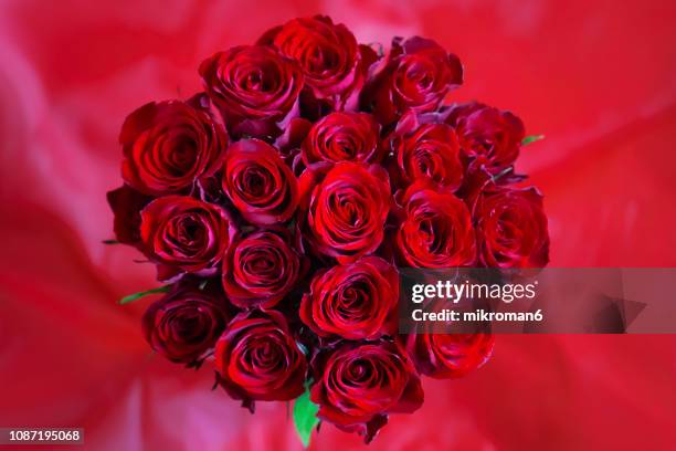 red roses - dozen roses - fotografias e filmes do acervo