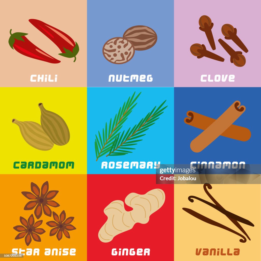 Herbes et épices Collection simplifié clipart géométrique