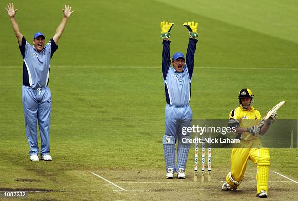 Shane Lee and Brad Haddin of the Blues successfully appeal for the wicket of Scott Meuleman of the Warriors during the ING Cup match between the New...