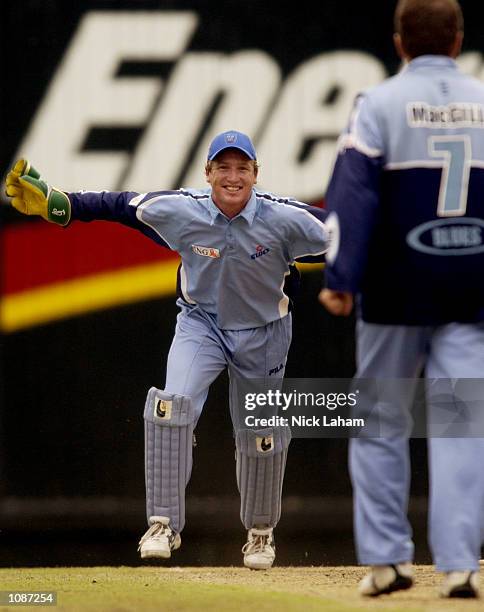 Brad Haddin of the Blues celebrates a wicket off a Stuart MacGill ball during the ING Cup match between the New South Wales Blues and the Western...