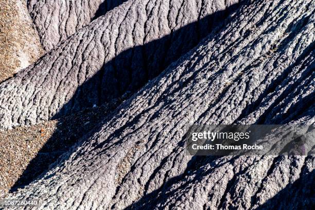 62 Thomas Holbrook Stock Photos, High-Res Pictures, and Images - Getty ...