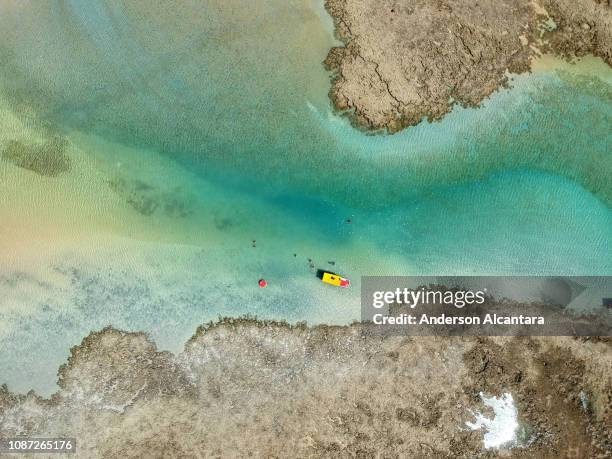 corals with crystal clear waters, piscinas, patacho beach - alagoas stock pictures, royalty-free photos & images