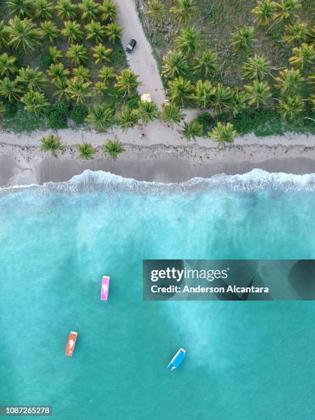 patacho beach - alagoas stock pictures, royalty-free photos & images