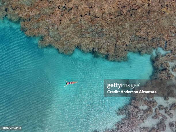 corals with crystal clear waters, piscinas, alagoas. - alagoas stock pictures, royalty-free photos & images