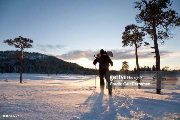 man with skis and backpack in the low winter sun - norway winter stock pictures, royalty-free photos & images