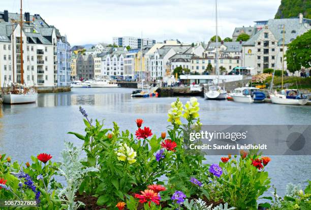 colorful flowers in alesund, norway - aalesund stock pictures, royalty-free photos & images