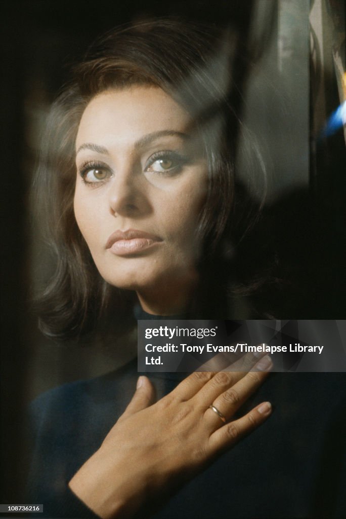 Sophia Loren