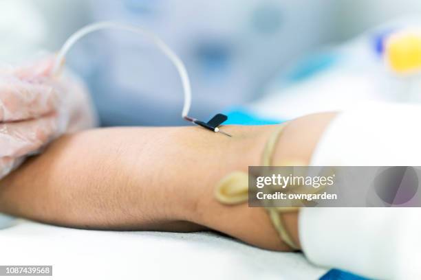 general practitioner doing blood test - taste for a cure stock pictures, royalty-free photos & images