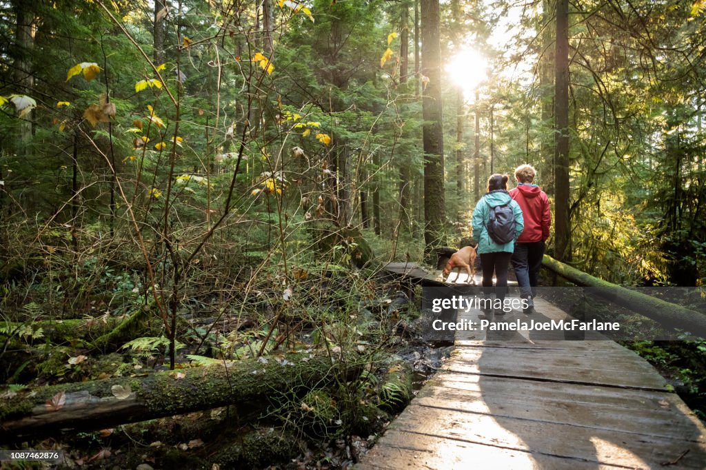 Girlfriend and Boyfriend Walking Vizsla Dog Along Autumn Forest Trail