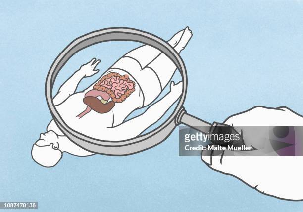 large hand holding magnifying glass revealing internal organs of male figure below - digestive system illustration stock pictures, royalty-free photos & images