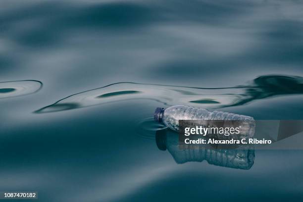 plastic water bottle floating on water surface - água parada imagens e fotografias de stock