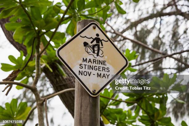 jellyfish warning sign - port douglas stock pictures, royalty-free photos & images