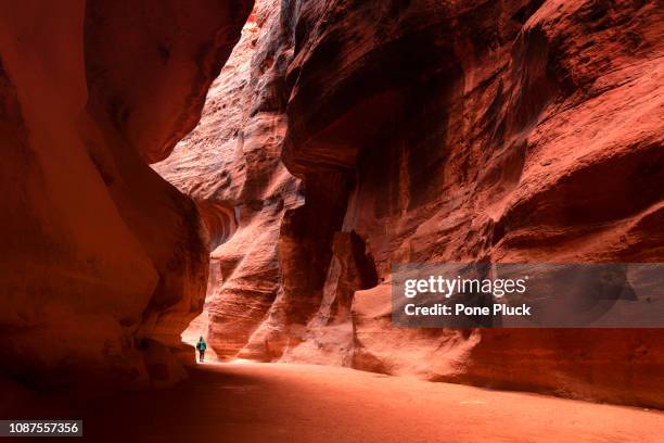 the sig. main entrance to the ancient city of petra. southern jordan - petra jordan stockfoto's en -beelden