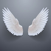Realistic white wings