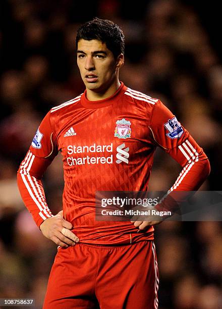 Luis Suarez of Liverpool looks on during the Barclays Premier League match between Liverpool and Stoke City at Anfield on February 2, 2011 in...