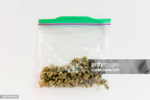 plastic bag of marijuana - cannabis droge stockfoto's en -beelden