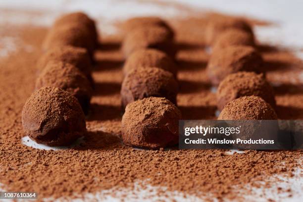 chocolate truffles with cocoa powder - chocolate truffle stock pictures, royalty-free photos & images