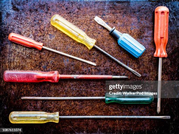 variety of screwdrivers - destornillador fotografías e imágenes de stock