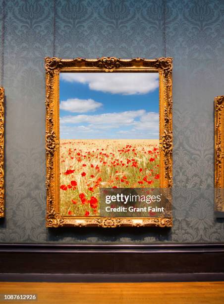 framed photograph hanging on wall. - claude monet stock pictures, royalty-free photos & images