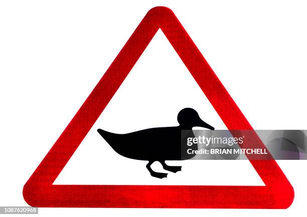 Utility Duck Sign 2,224 Duck Sign Stock Photos, High-Res Pictures, and Images - Getty Images