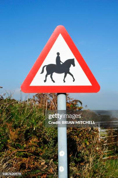 Triple Riding Vilation Sign 2,160 Triangular Road Signs Stock Photos, High-Res Pictures, and Images ...
