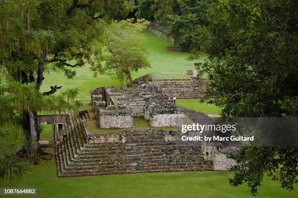 mayan pyramid, copan, honduras - honduras fotografías e imágenes de stock