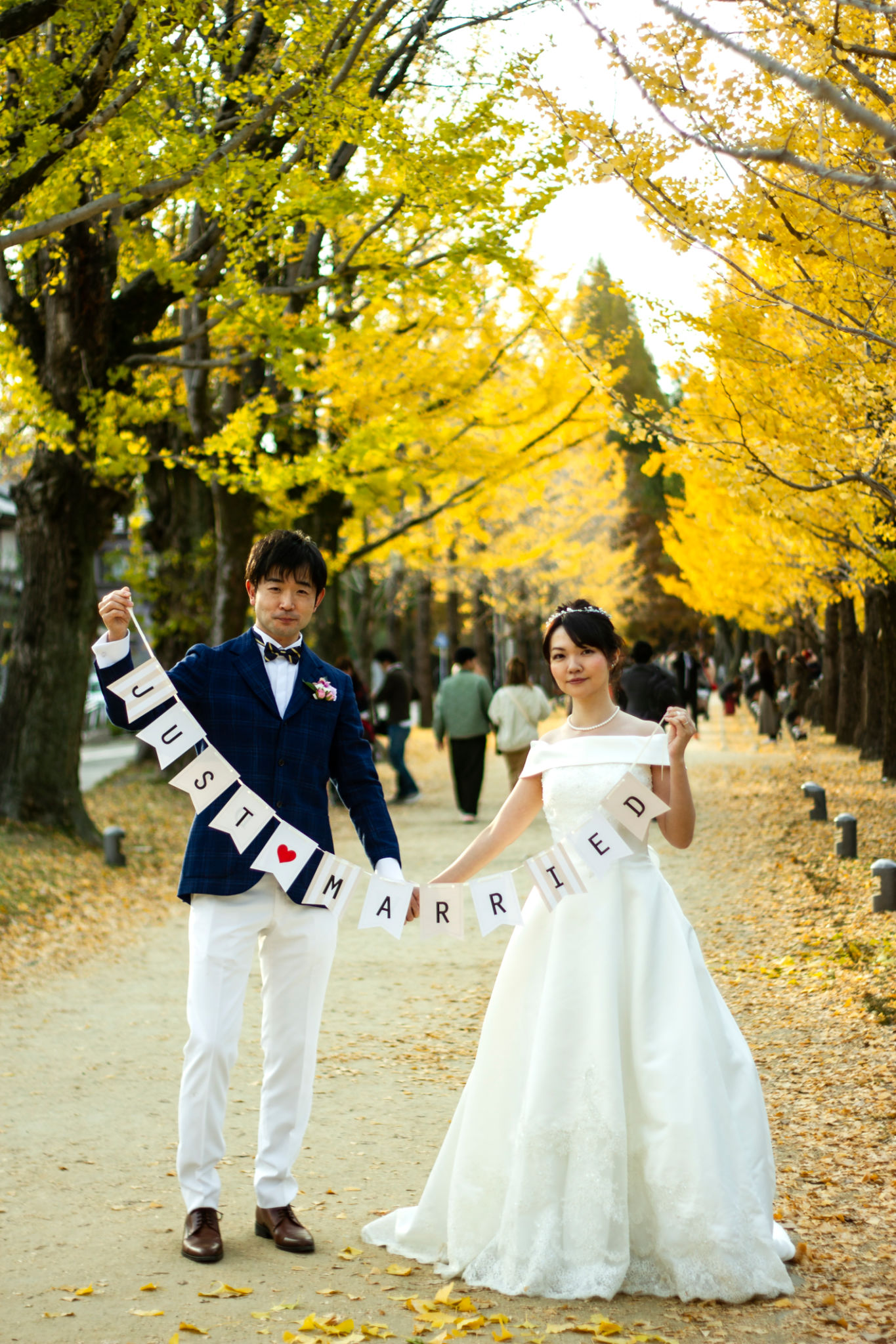 mt fuji proposal
