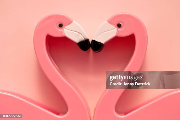 flamingo heart - flamingo heart fotografías e imágenes de stock