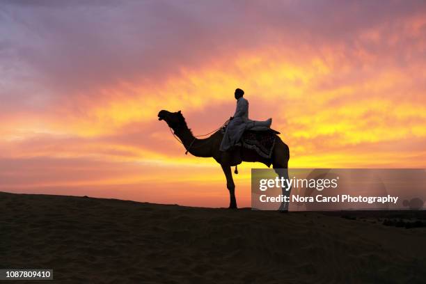 an indian man with camel at thar dessert during sunset - chameau photos et images de collection