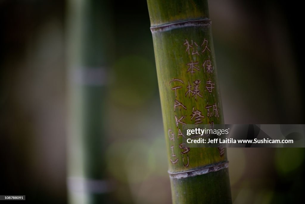 Bamboo Grafitti, Kamakura, Japan