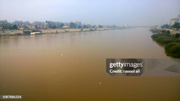 tigris river - rio eufrates imagens e fotografias de stock