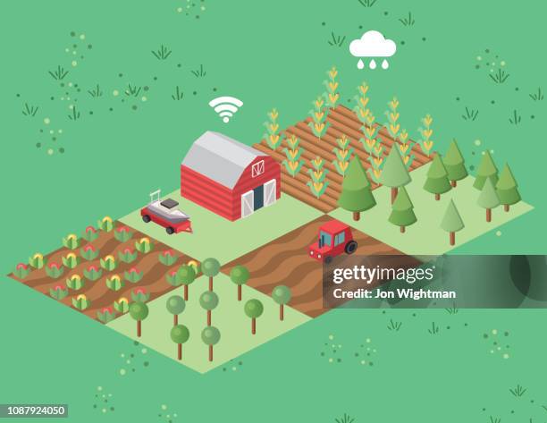 isometric farm scene - cabbage tree stock illustrations