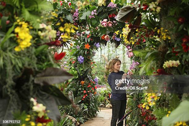 Karen Clayton, a Kew Diploma Student in horticulture, arranges an orchid in Kew Gardens' 'Tropical Extravaganza Festival 2011' on February 3, 2011 in...