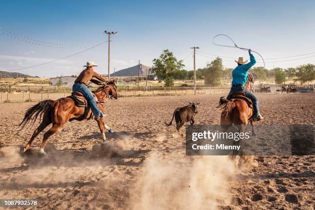 cowboys bull chasing competition training - lusso stock pictures, royalty-free photos & images