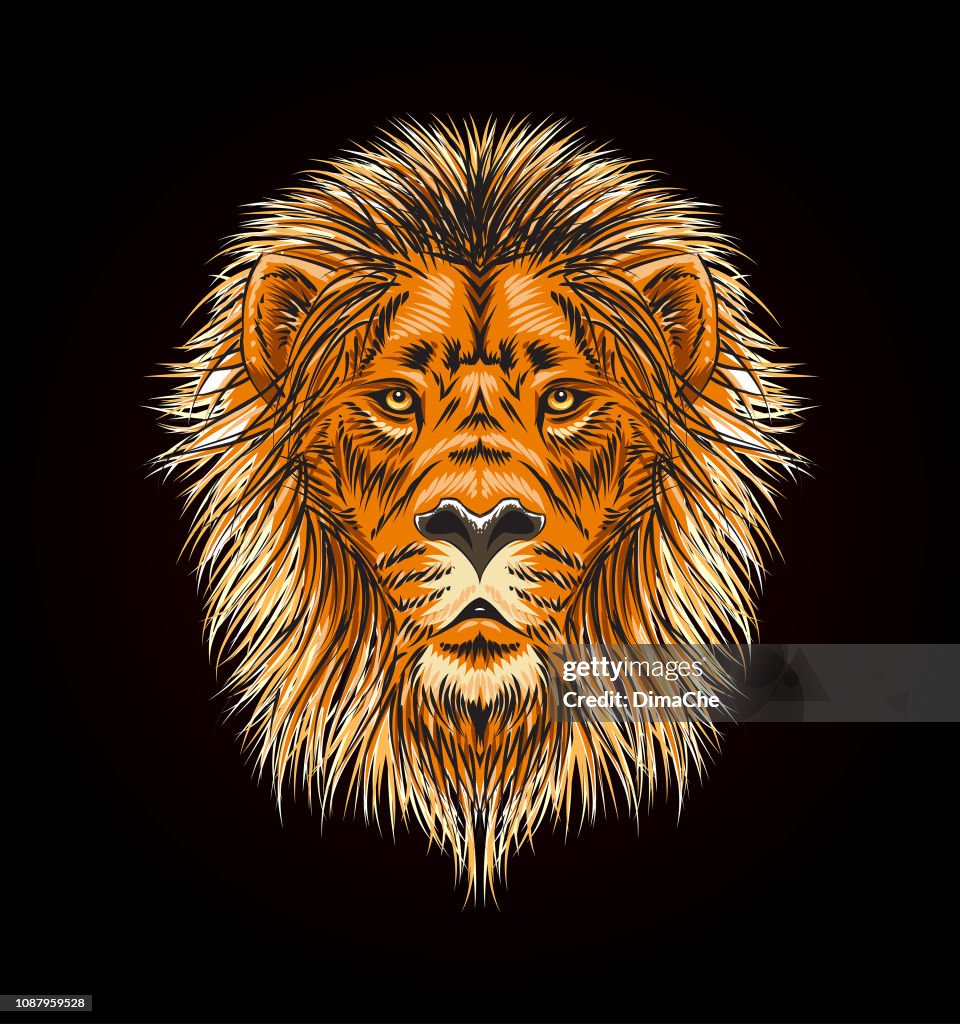 Lion head with mane - vector sketch style illustration