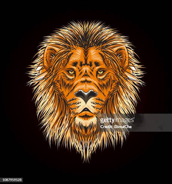 lion head with mane - vector sketch style illustration - lion tattoo stock illustrations