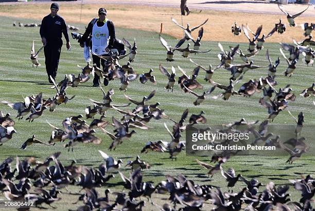 Greg Chalmers of Australia walks with his caddie toward a flock of birds on the 11th hole fairway during the first round of the Waste Management...