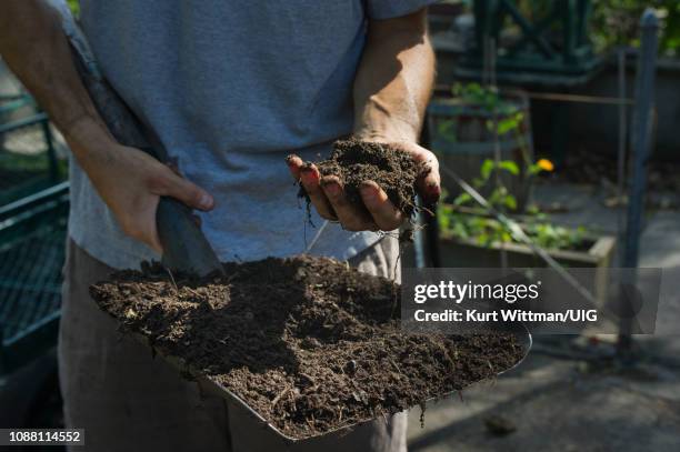 urban community garden composting - sifting stockfoto's en -beelden