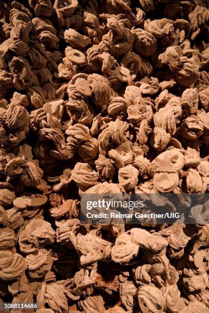 red barite crystals naturally formed into petals to yield rose-like clusters called rock rose or desert rose - baryt stock-fotos und bilder