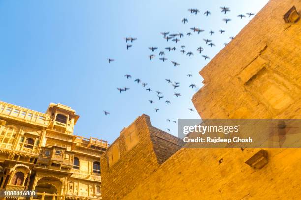 outside the havelis of jaisalmer - sandstone wall stock pictures, royalty-free photos & images